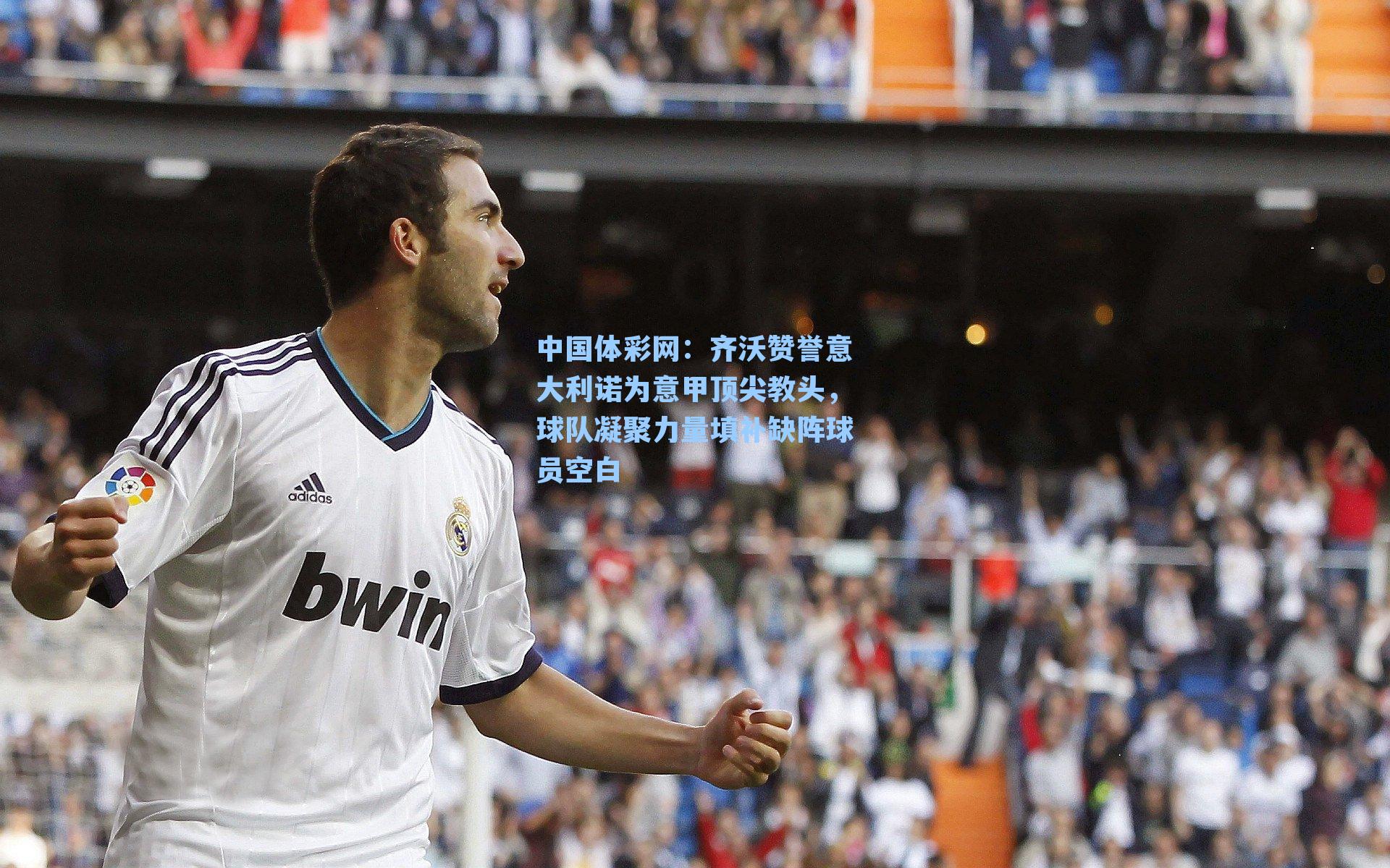 齐沃赞誉意大利诺为意甲顶尖教头，球队凝聚力量填补缺阵球员空白