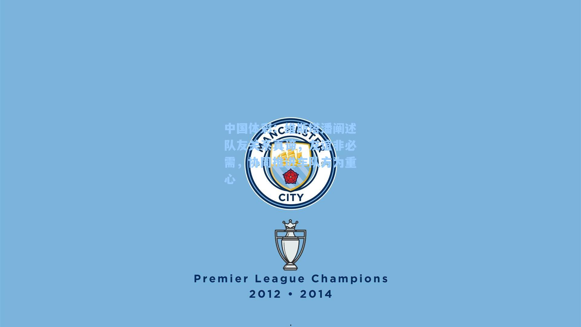 维斯塔潘阐述队友关系真谛，友谊非必需，协同推进车队方为重心